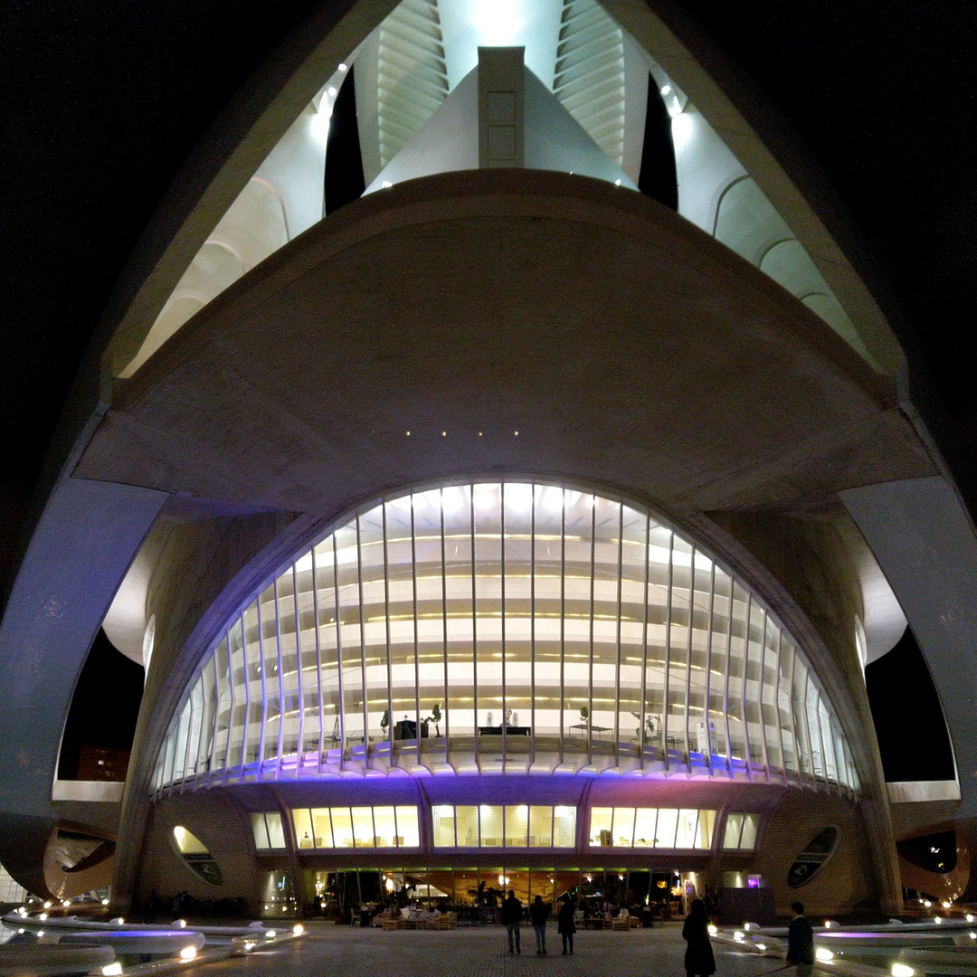 Valencia (5) Ciutat de les Arts i les Ciències / Palau de les Arts Reina Sofía