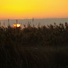 VALENCIA - ATARDECER EN EL PUERTO DE CATARROJA