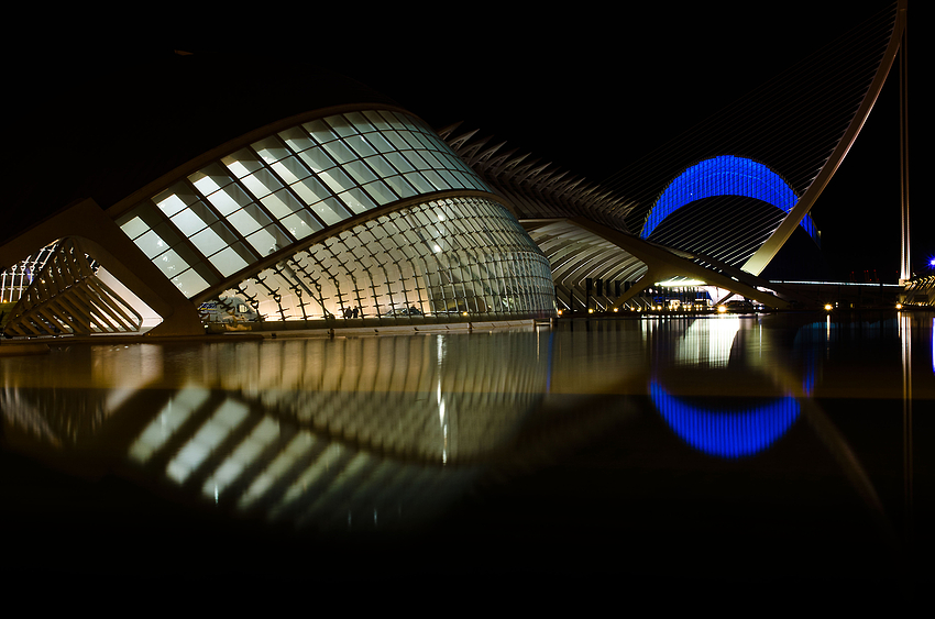 Valencia bei Nacht: Der Fisch