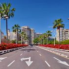 Valencia, Blumenbrücke (Puente de las Flores)