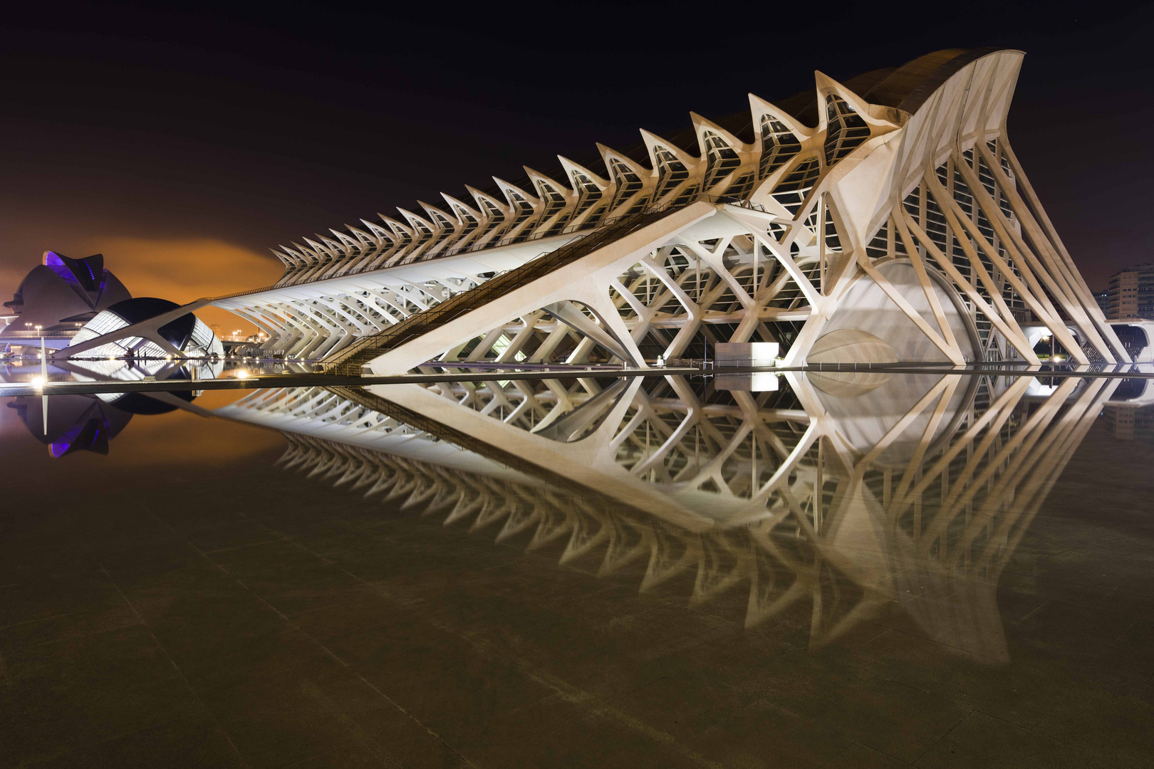 Valencia CAC | Museo de Ciencies (Nachtaufnahme Spiegelung)