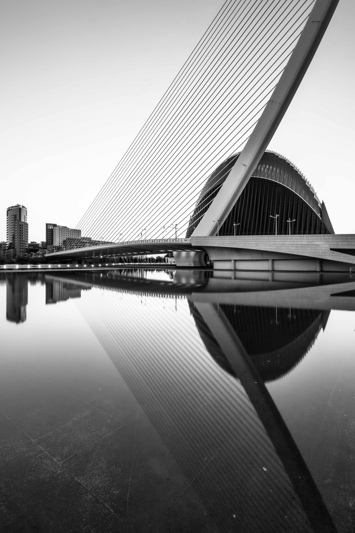 Valencia CAC | Pont Assut de L'Or (mit Spiegelung)