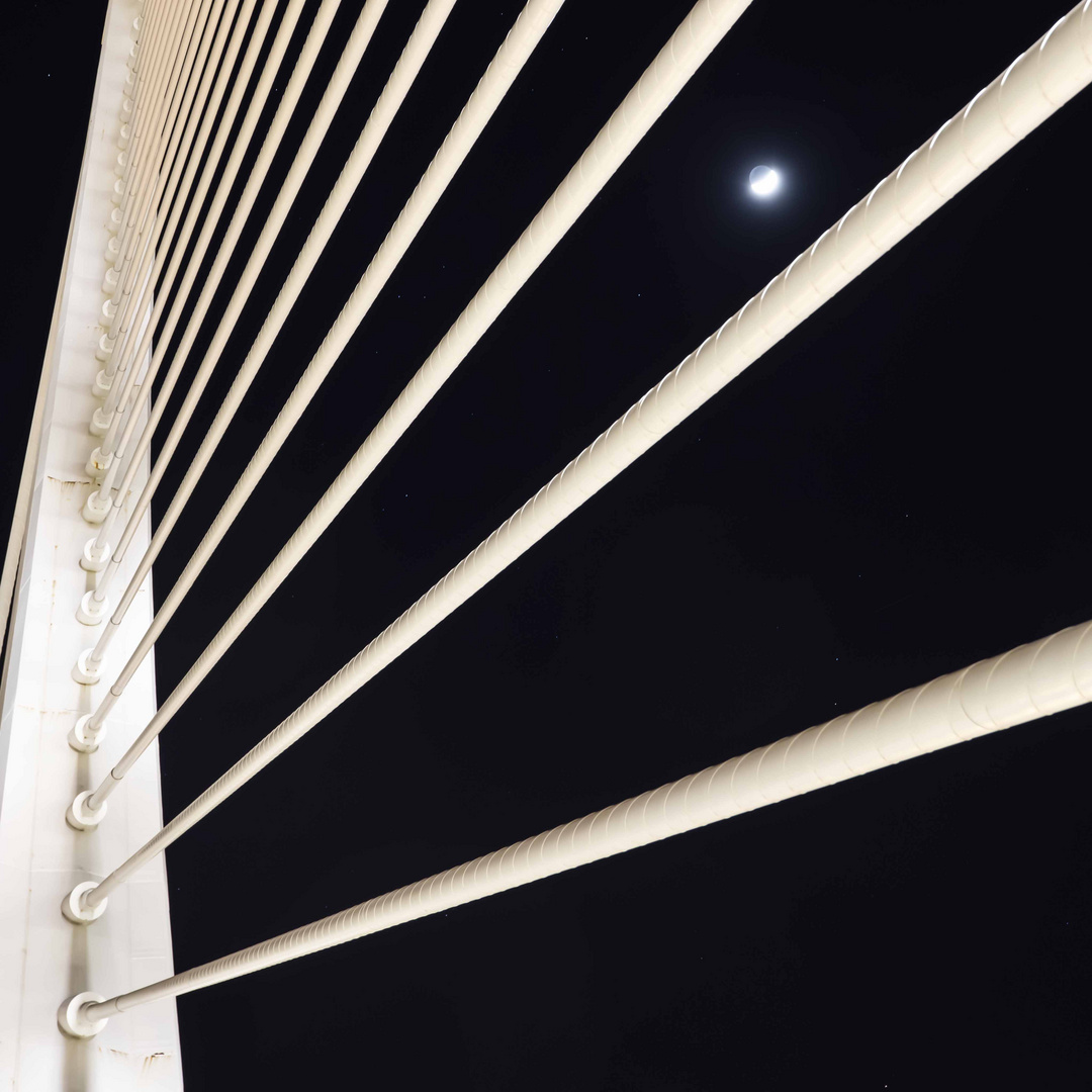 Valencia CAC | Pont Assut de L'Or (Nachtaufnahme Detail)
