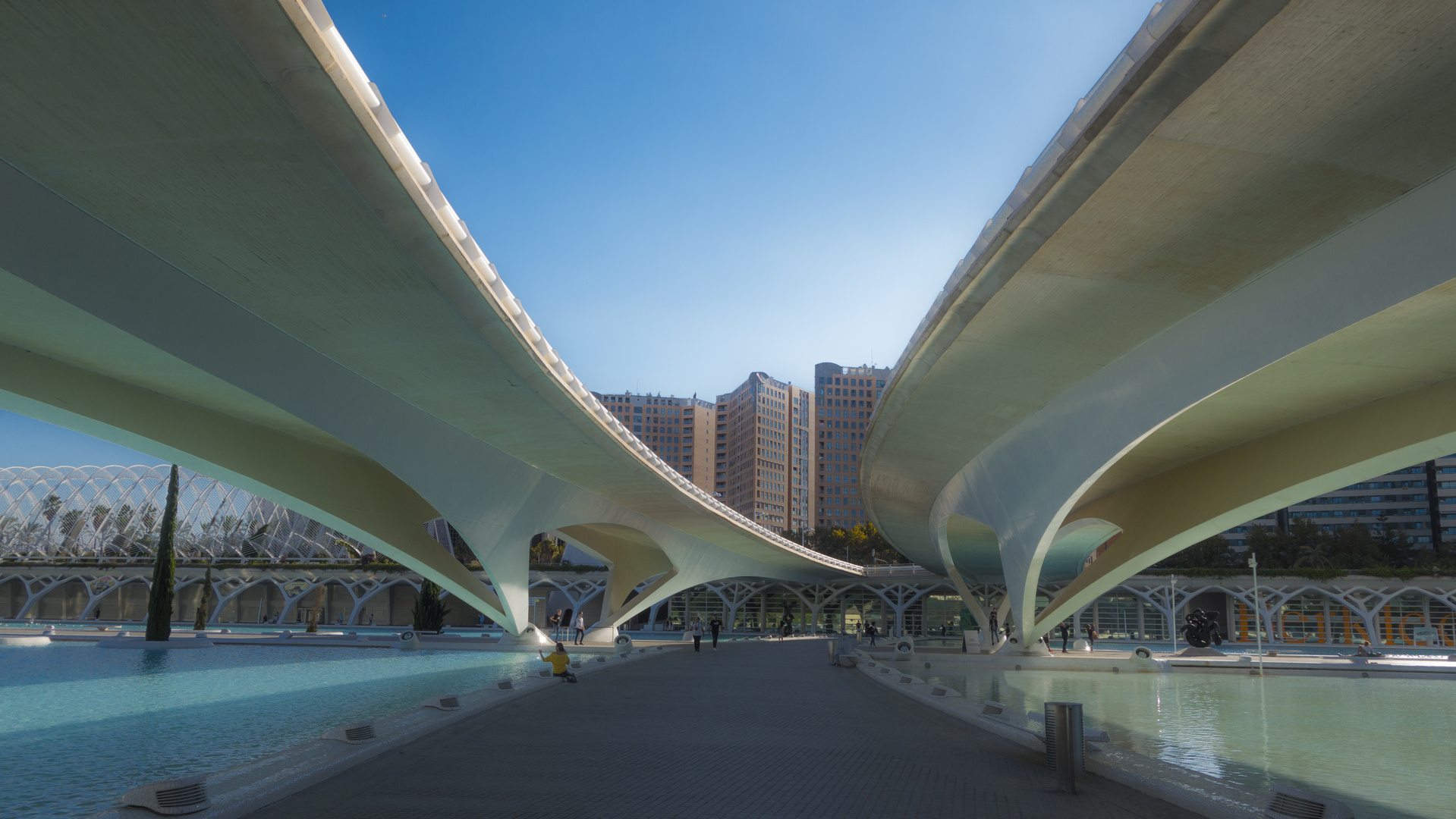 Valencia Calatrava 1