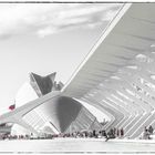 Valencia Calatrava 2
