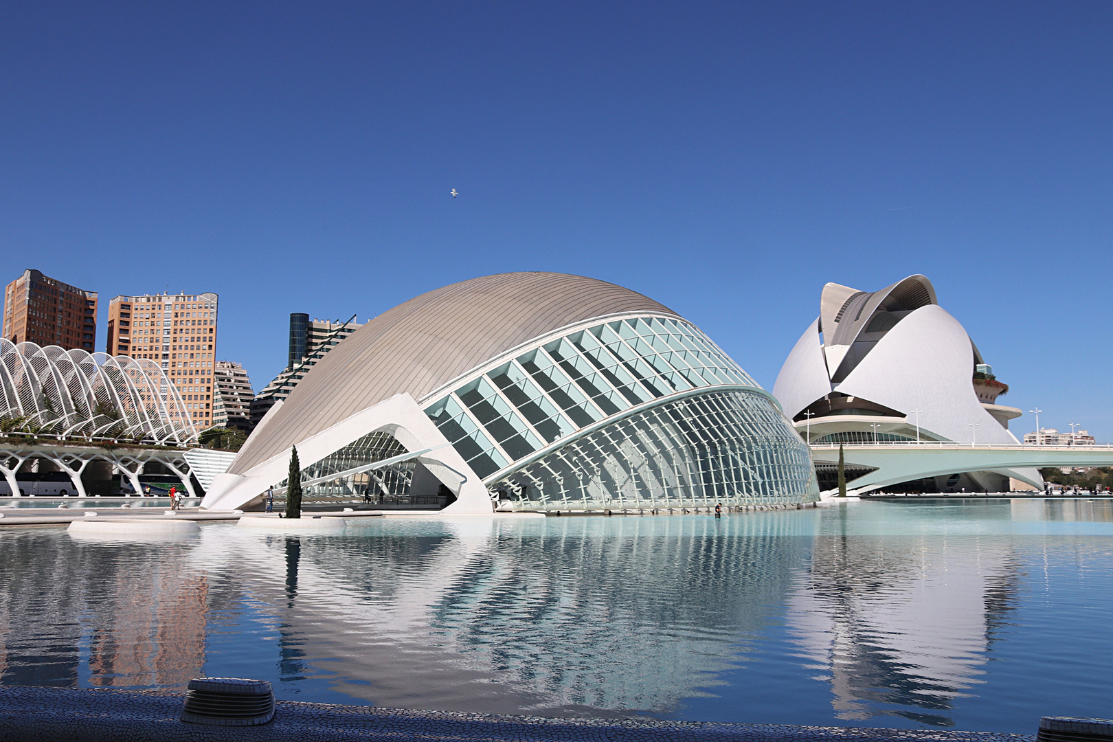 VALENCIA - CITÉ DES ARTS ET DES SCIENCES...