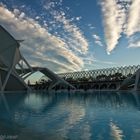 Valencia. Ciudad de las Artes y las Ciencias.