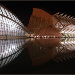 Valencia, Ciudad de las Artes y las Ciencias 2