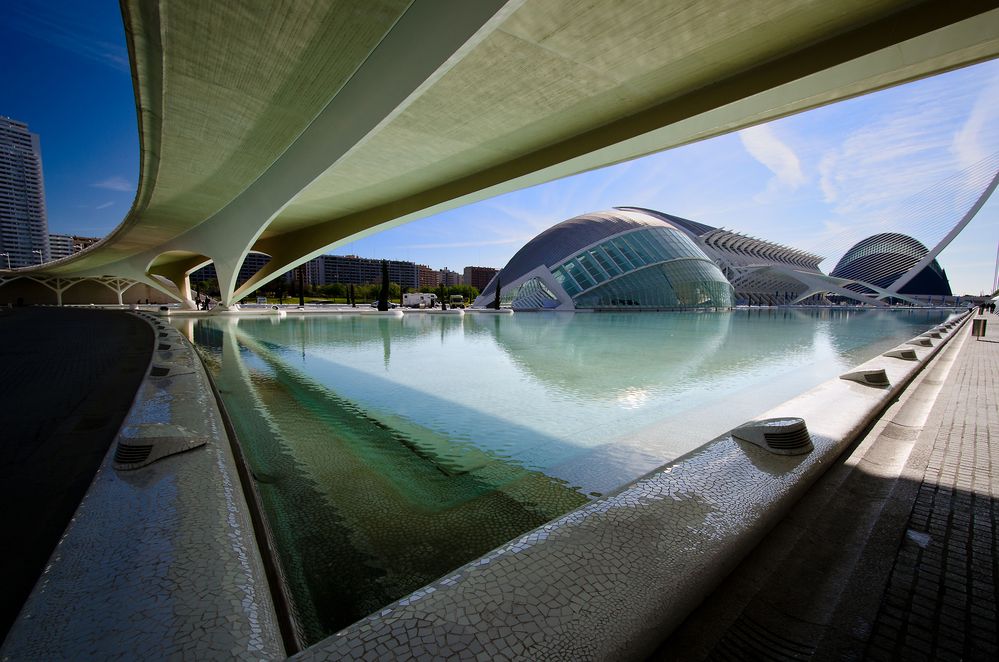 Valencia - Ciudad de las Artes y las Ciencias (2)