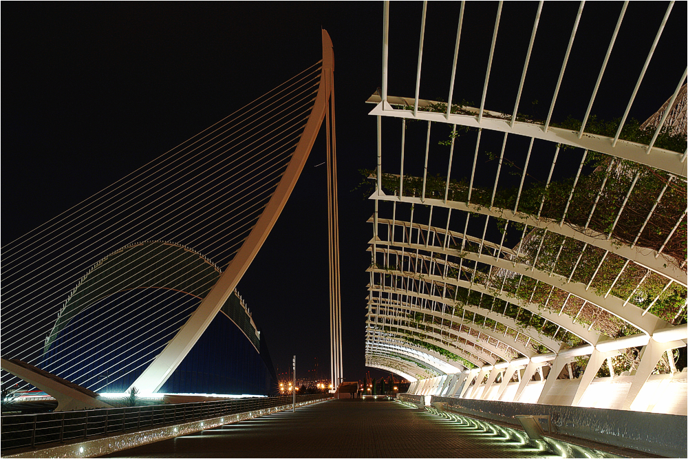 Valencia, Ciudad de las Artes y las Ciencias