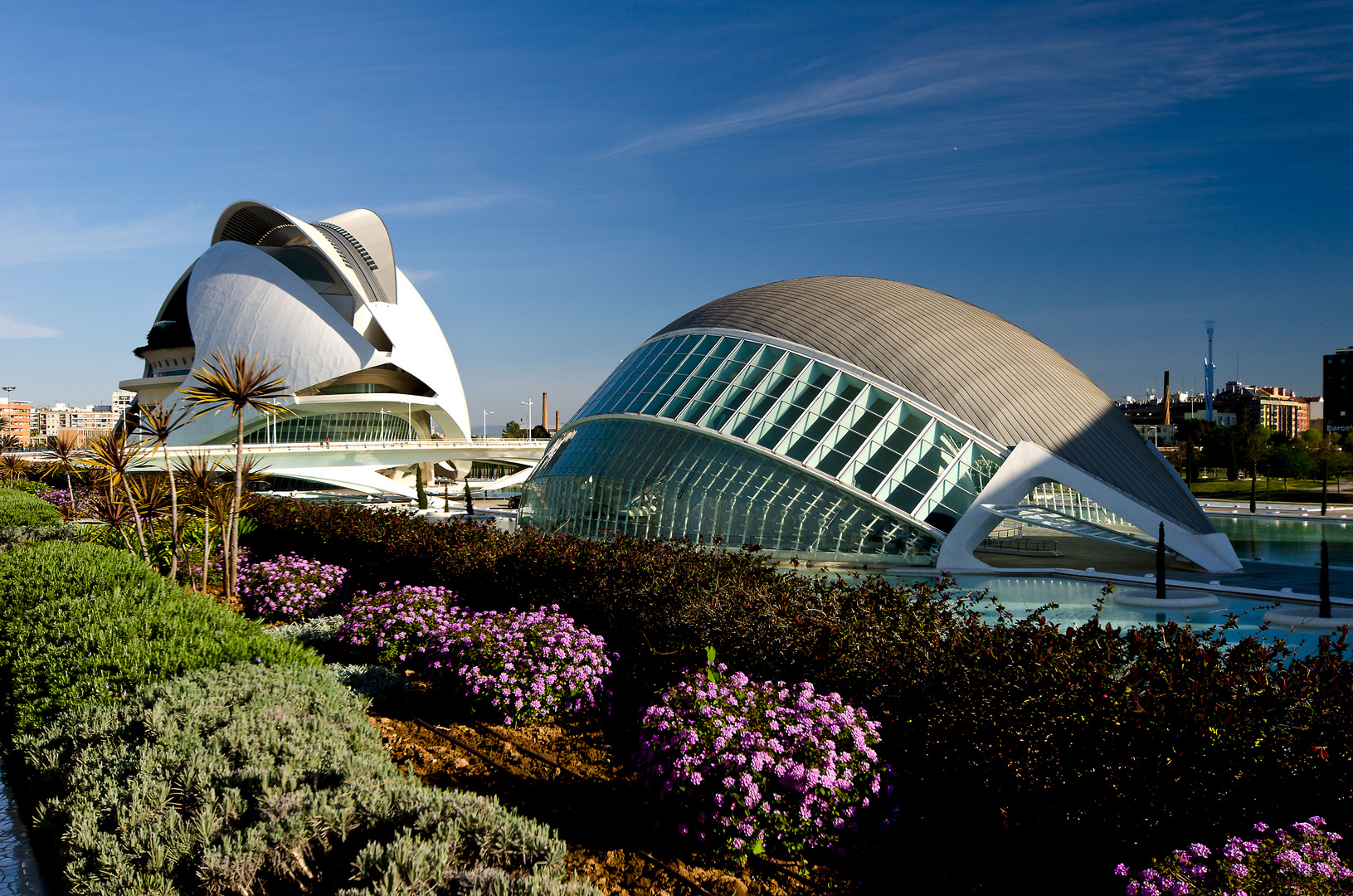 Valencia - Ciudad de las Artes y las Ciencias