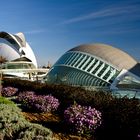 Valencia - Ciudad de las Artes y las Ciencias
