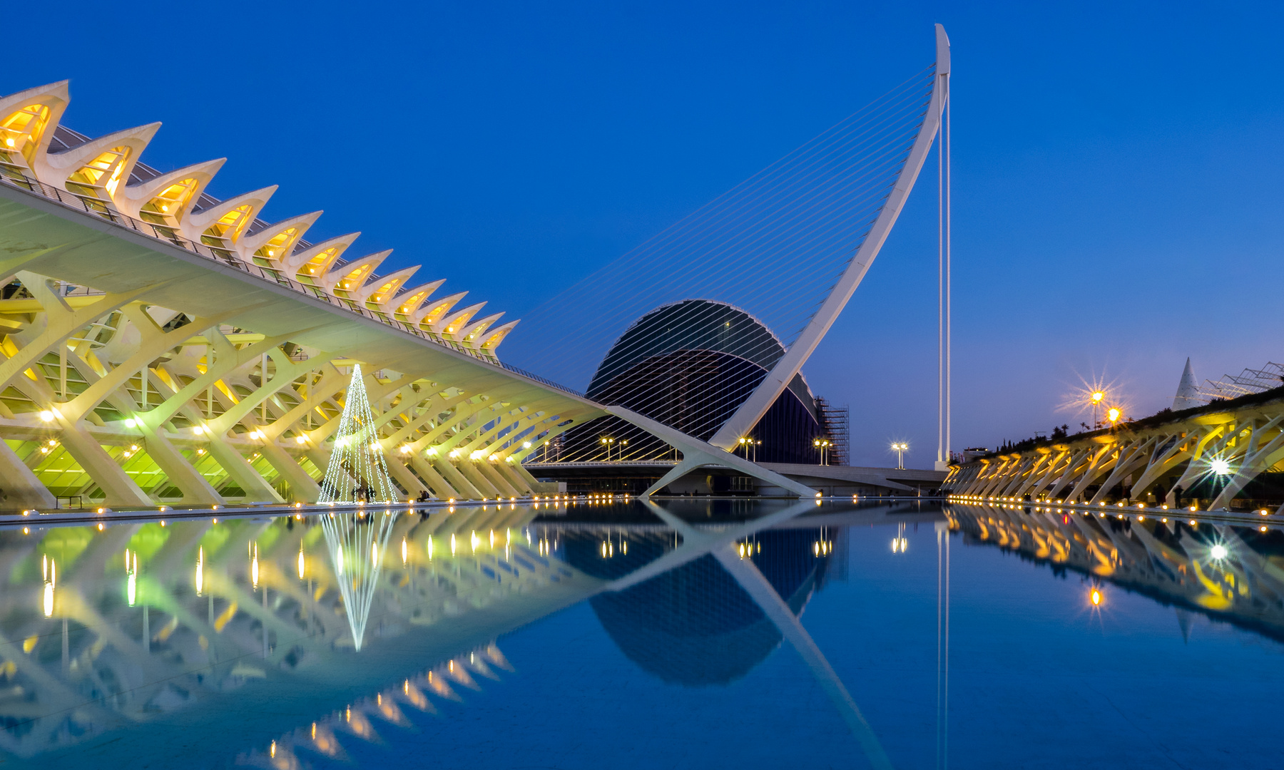 Valencia. Ciudad de las Artes y las Ciencias.