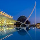 Valencia. Ciudad de las Artes y las Ciencias.