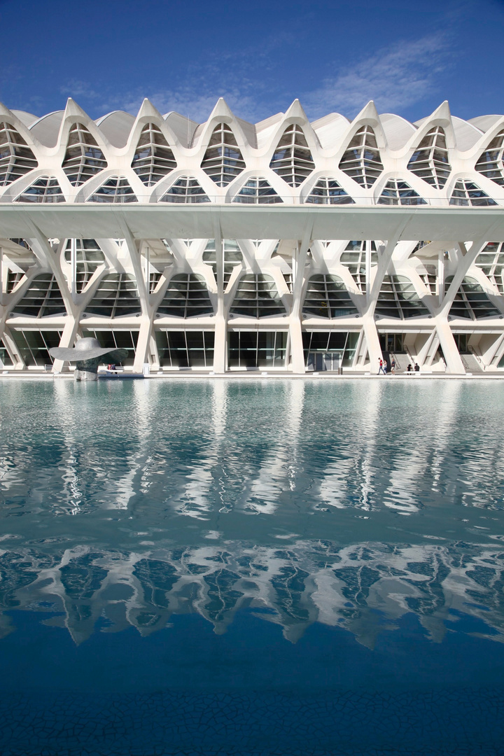 Valencia - Ciutat de les Arts i les Ciències