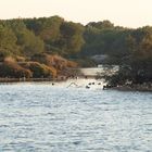 VALENCIA - EL LAGO DE EL SALER