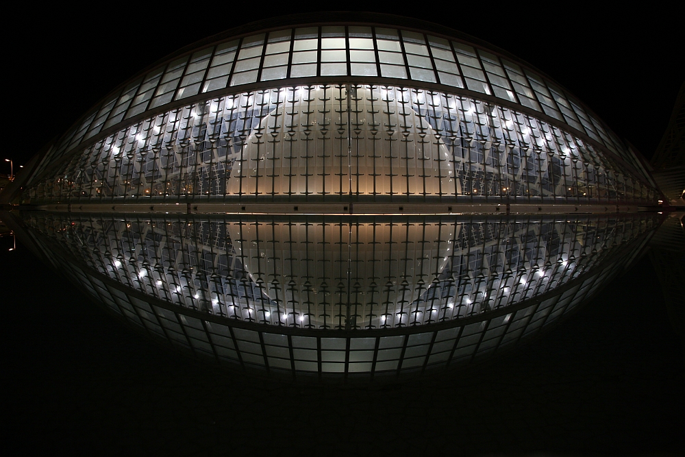 Valencia La Ciudad de las Artes y las Ciencias #1