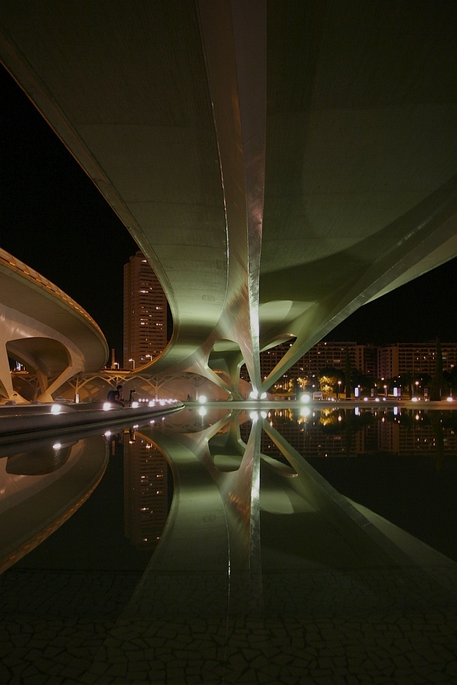 Valencia La Ciudad de las Artes y las Ciencias #2