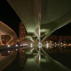 Valencia La Ciudad de las Artes y las Ciencias #2