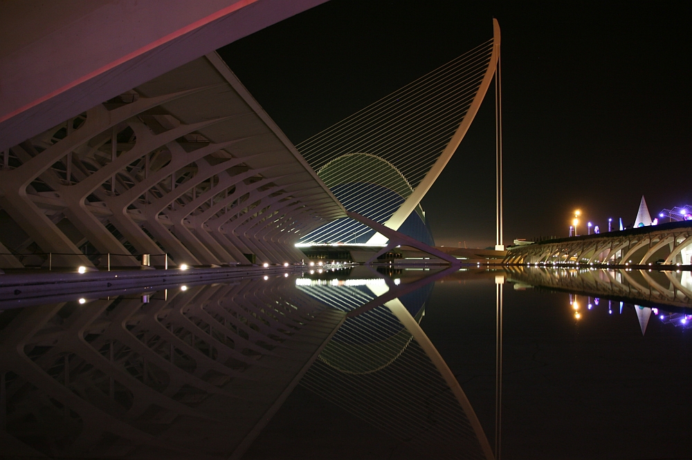 Valencia La Ciudad de las Artes y las Ciencias #3