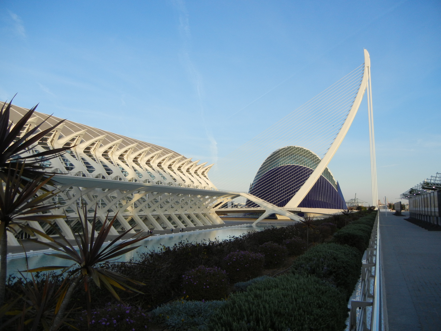 Valencia Meeresaquarium