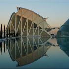 Valencia, Museo de las Ciencias 2