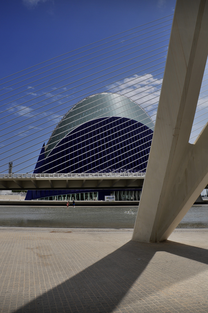 Valencia Museo Oceanografico