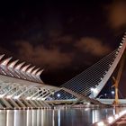 Valencia - Museu de les ciences b