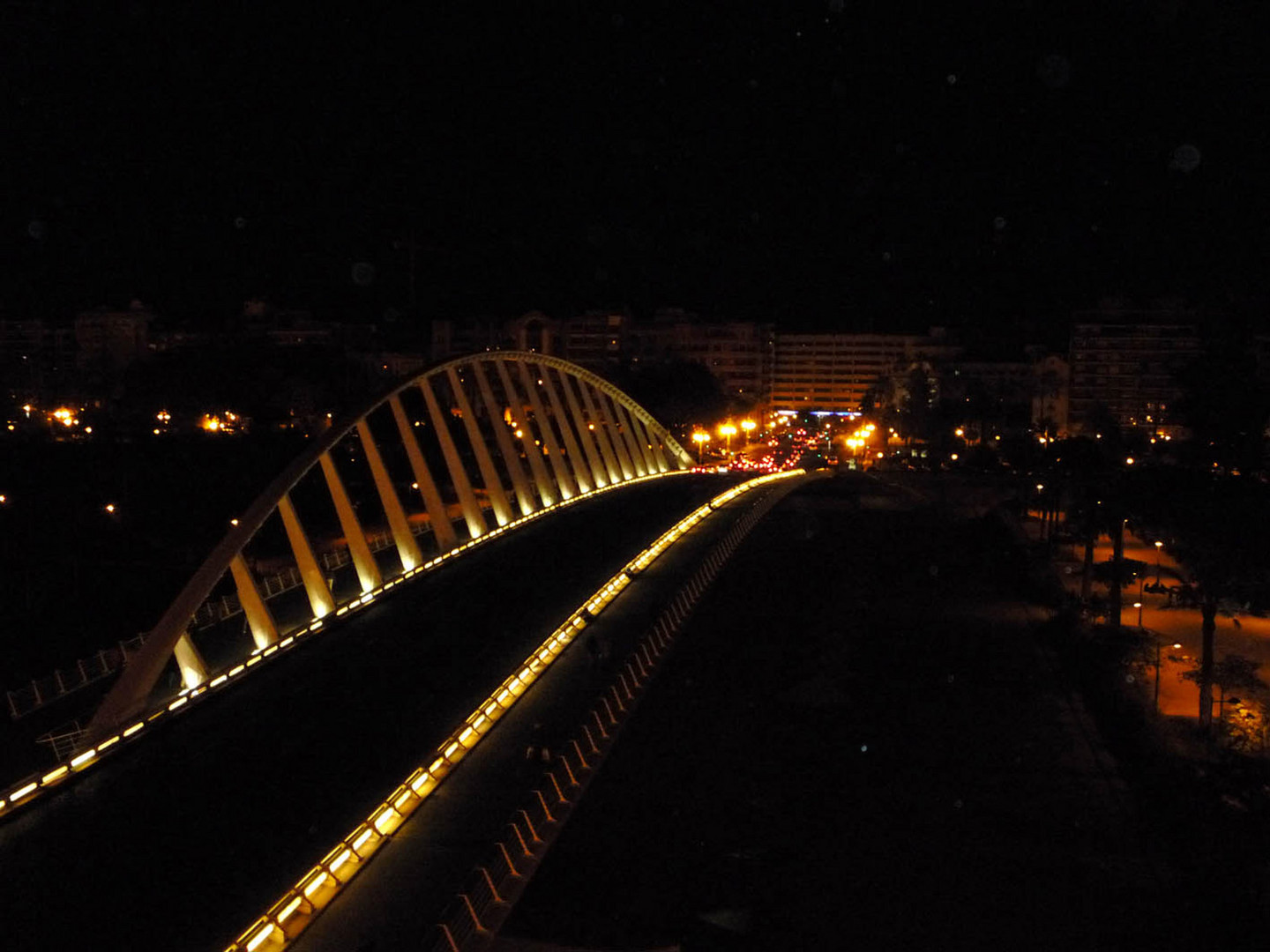 Valencia Nocturna - Puente de Calatrava