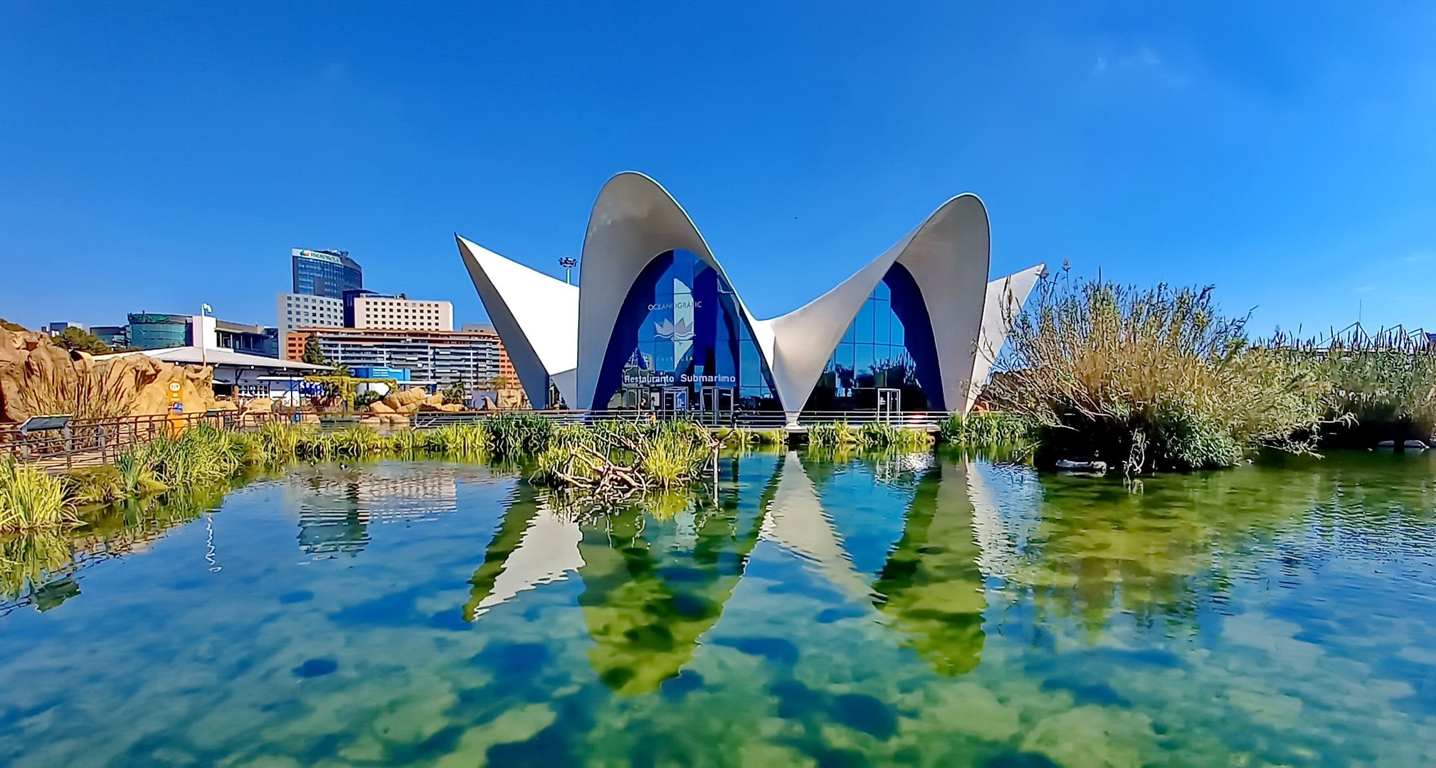 Valencia: Oceanográfico