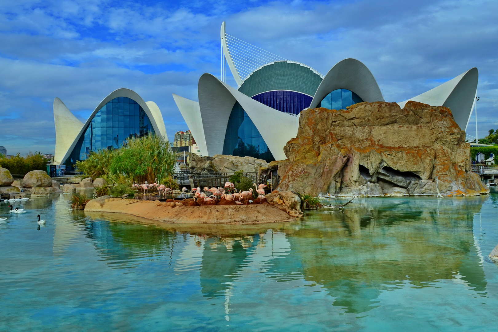 Valencia, Oceanográfico