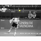 Valencia Open Tennis II