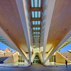 Valencia: Opernhaus, Untergeschoß