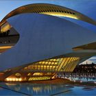 Valencia, Palau de les Arts Reína Sofía 5