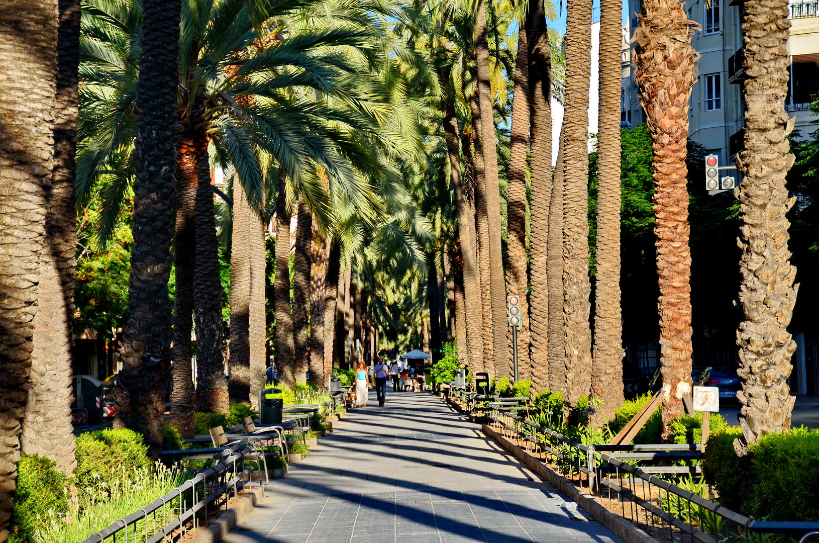 Valencia, Palmenalleen