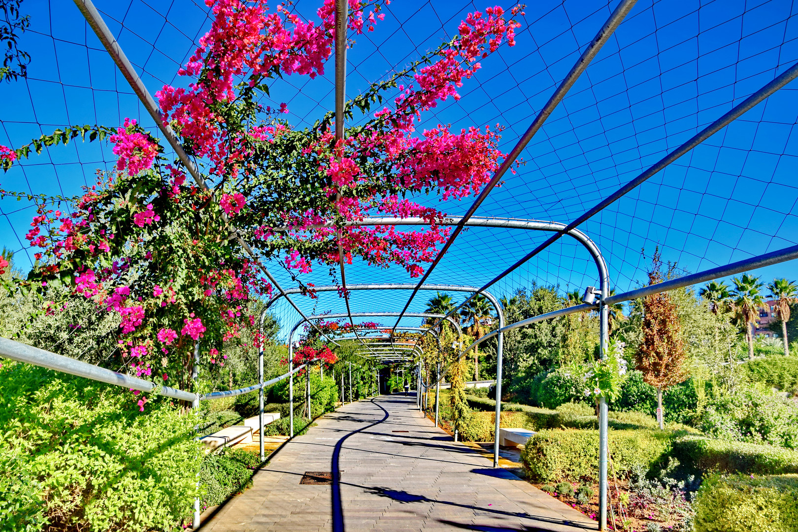 Valencia: Parque Central