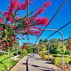 Valencia: Parque Central