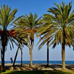 Valencia, Patacona Strand