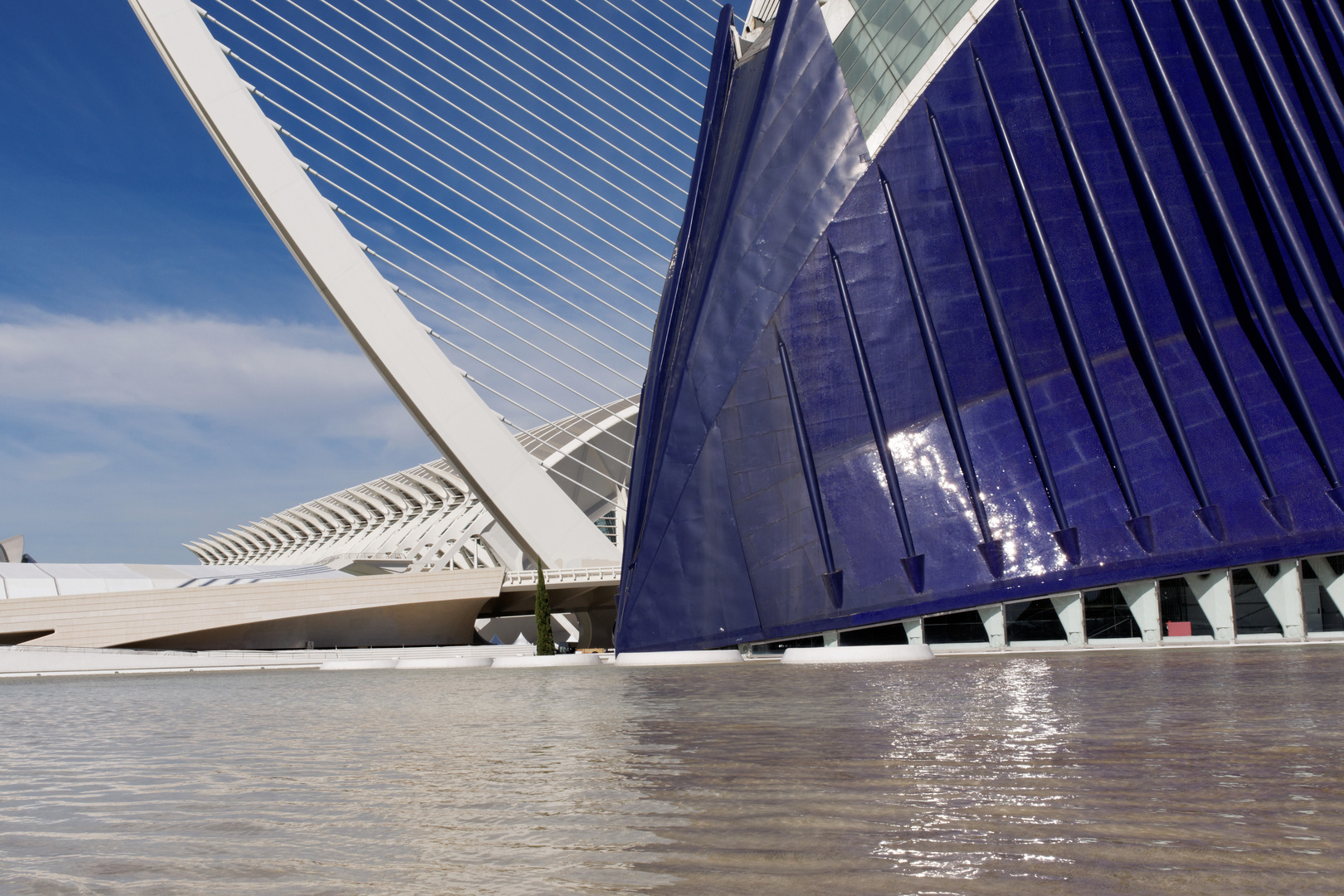 Valencia Stadt der Künste und Wissenschaft 3