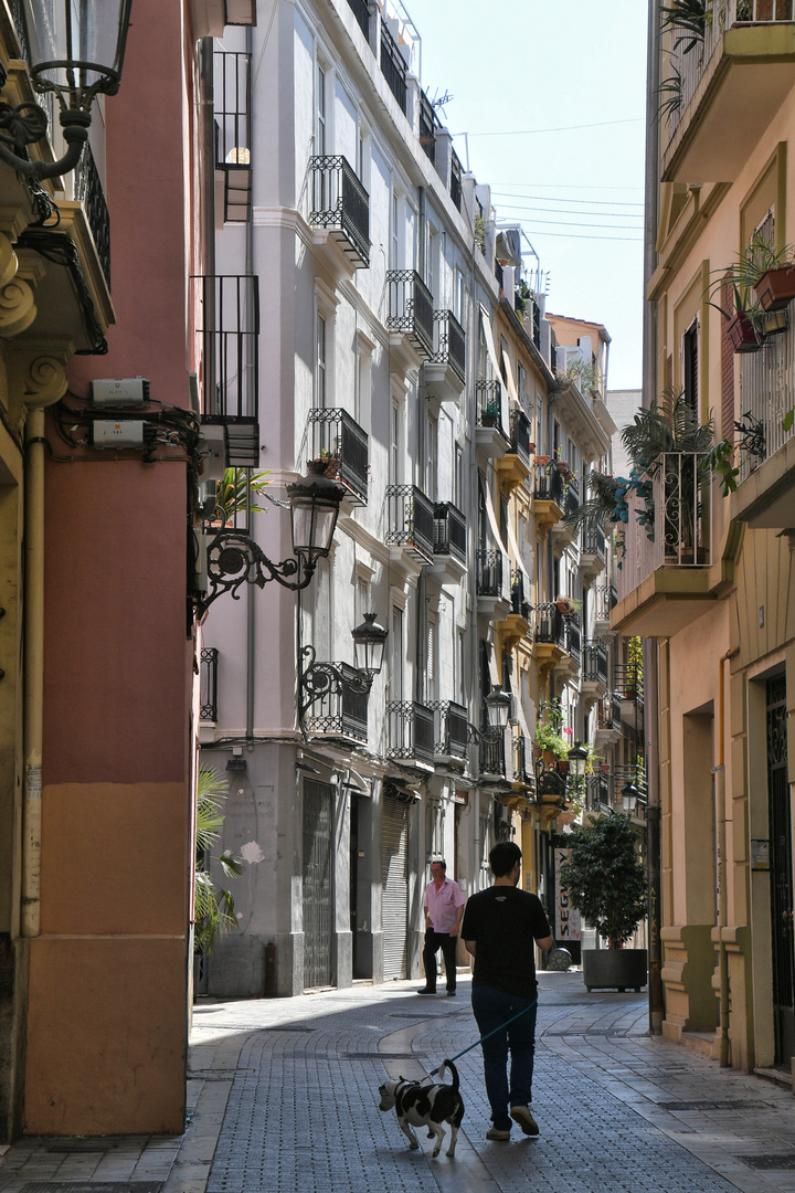 Valencia Streets