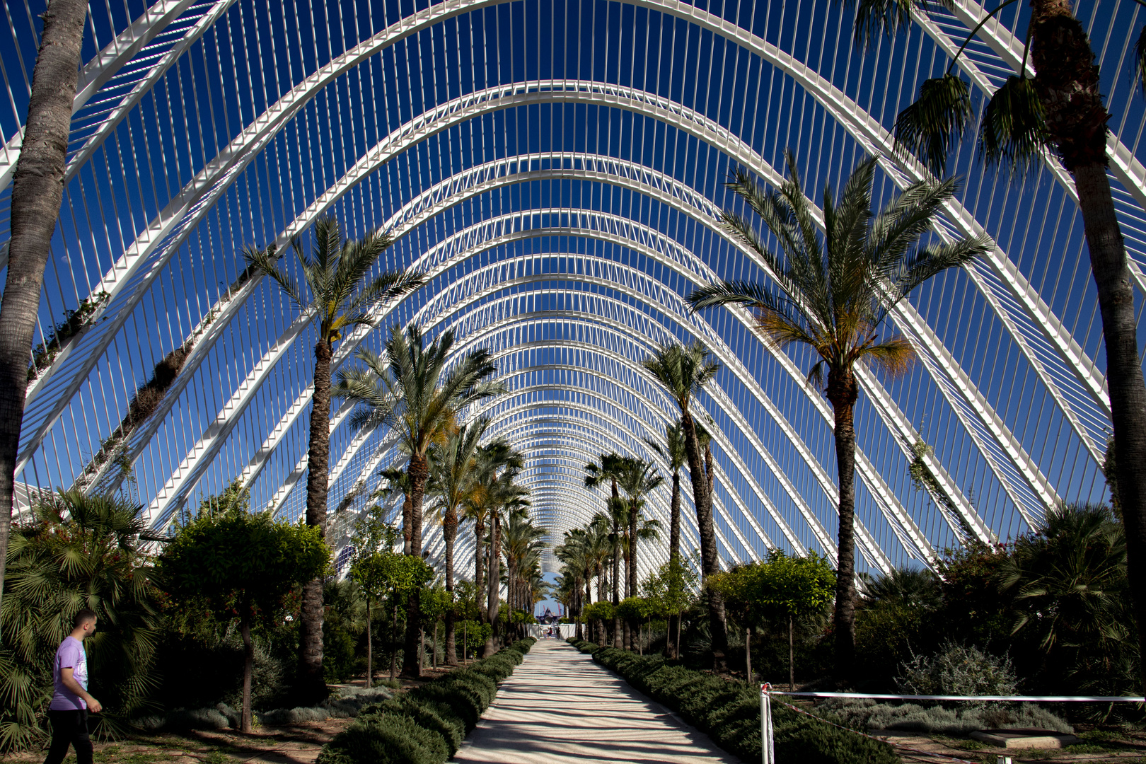 Valencia - Umbracle