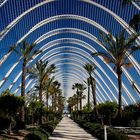 Valencia - Umbracle