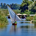 Valencia: Vela Latina Segelboot