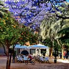 Valencia, verstecke Plätze in der Altstadt