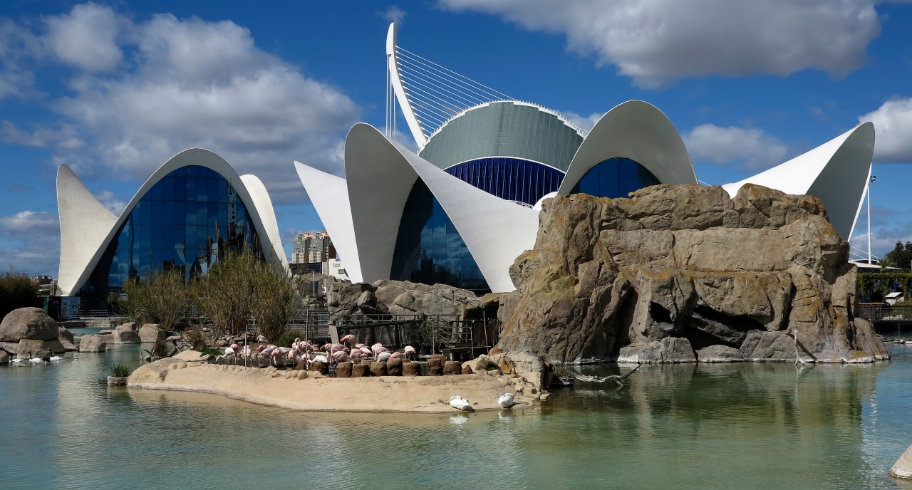 Valencia_Oceanografico