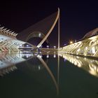 Valenicia - Ciudad de las Artes y de las Ciencias - 1 -