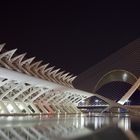 Valenicia - Ciudad de las Artes y de las Ciencias - 2 -