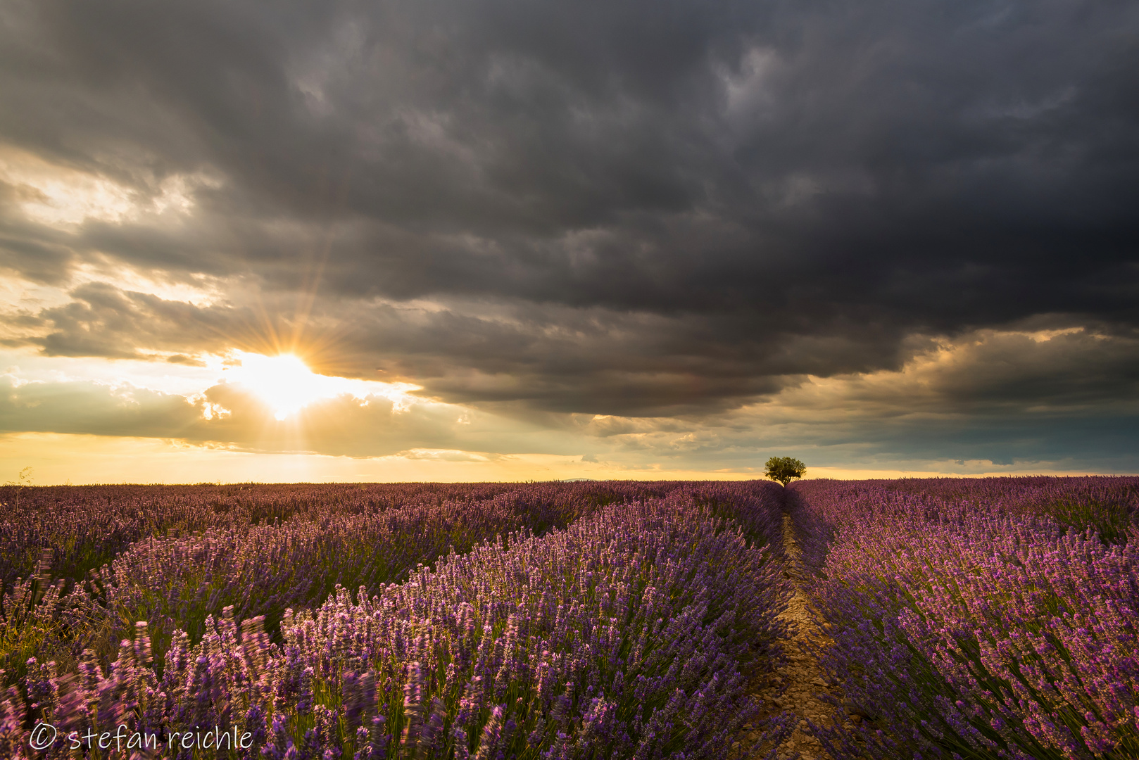 ** Valensole ** 