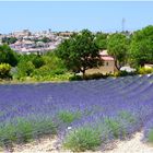 Valensole