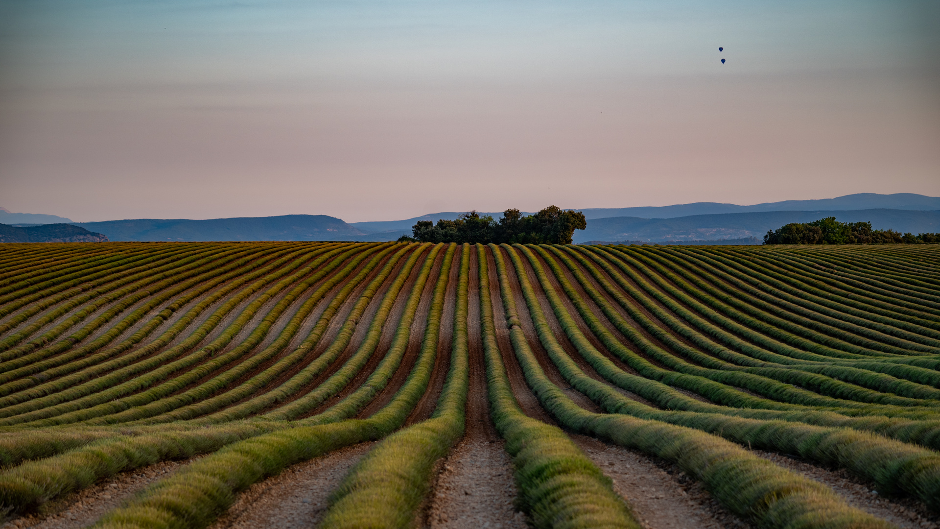  Valensole